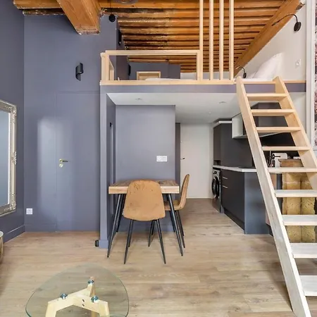 شقة Studio Grande Rue De Vaise -duplex -quai De Saone ليون