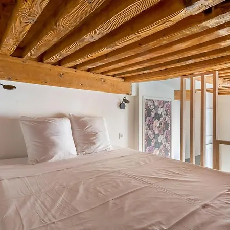 Studio Grande Rue De Vaise -duplex -quai De Saone ليون