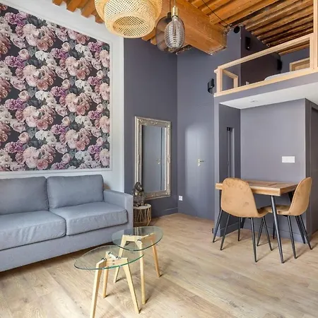 Studio Grande Rue De Vaise -duplex -quai De Saone *