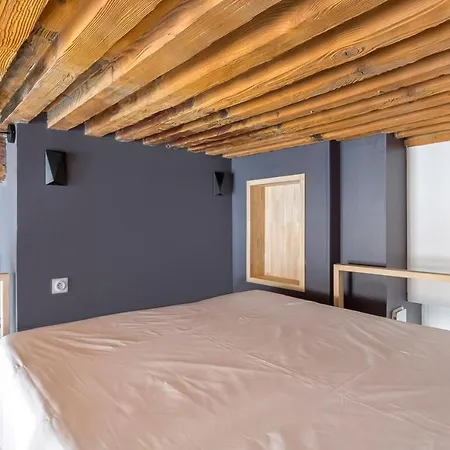 Studio Grande Rue De Vaise -duplex -quai De Saone *